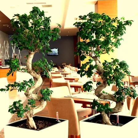 Hotel Orucoglu Oreko