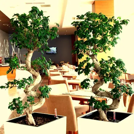 Orucoglu Oreko Hotel