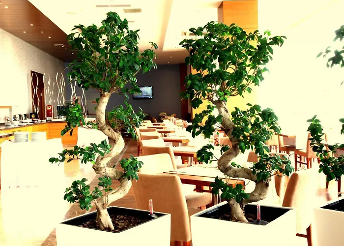 Hotel Orucoglu Oreko